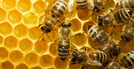 ERGO Hestia z certyfikatem EMAS