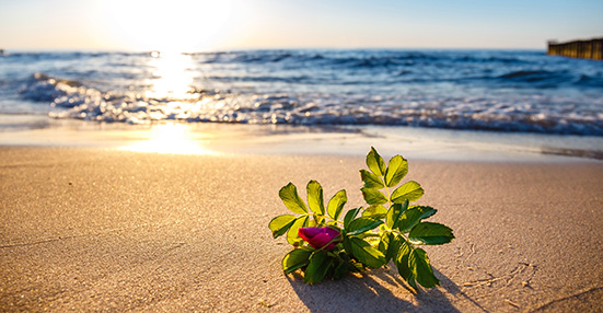 Ubezpieczenie podróżne ERGO Podróż w ERGO Hestii