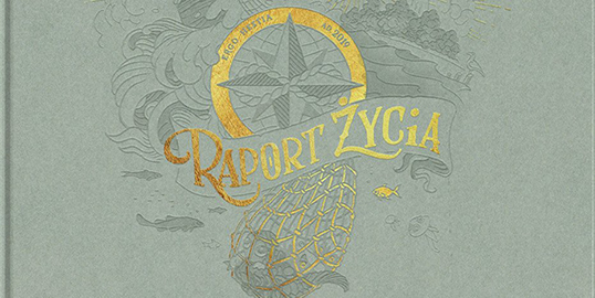 ERGO Hestia raport 2019